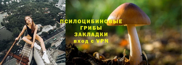 крисы Алексеевка